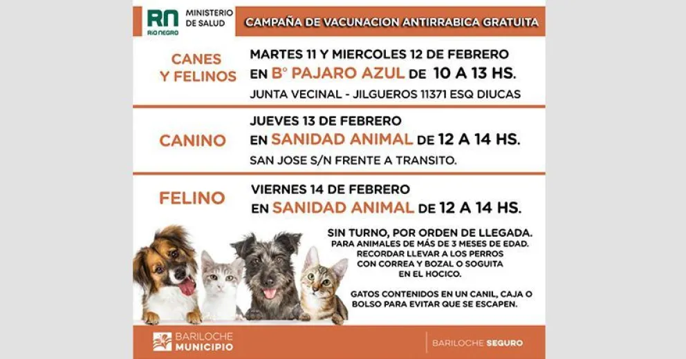 Comenzó la vacunación antirrábica gratuita en Pájaro Azul