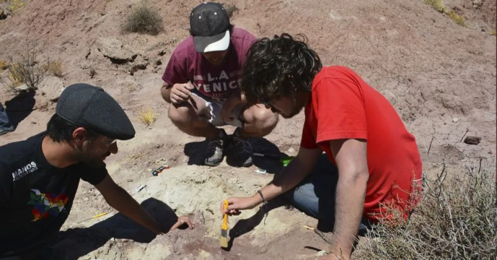 Descubren una nueva especie de dinosaurio carnívoro que habitó la Patagonia hace 90 millones de años