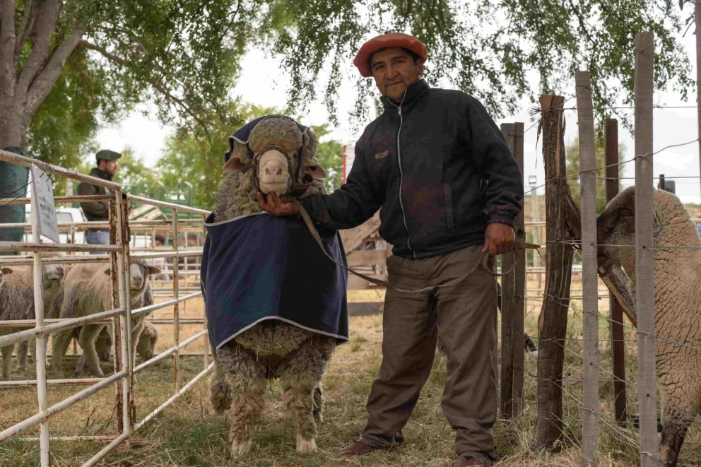 Ya está en marcha la "Expo Rural" Bariloche