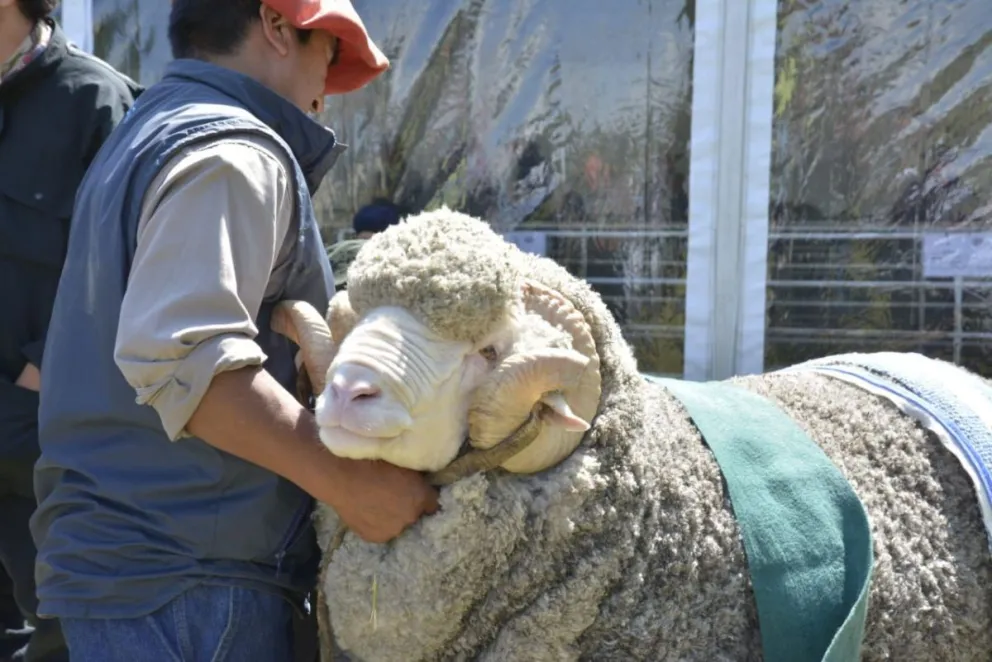 Cientos de familias disfrutan la segunda jornada de la Expo Rural Bariloche