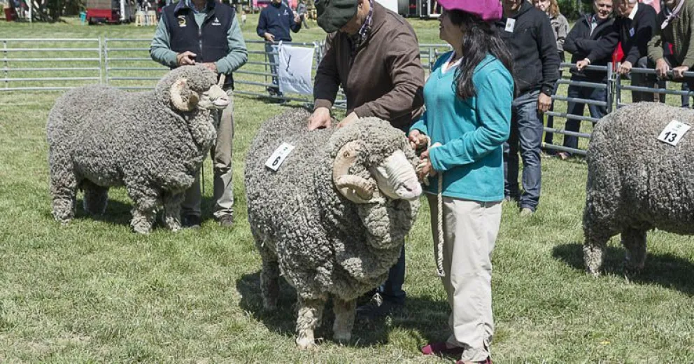 Unas 3.500 personas visitaron en dos jornadas la Expo Rural