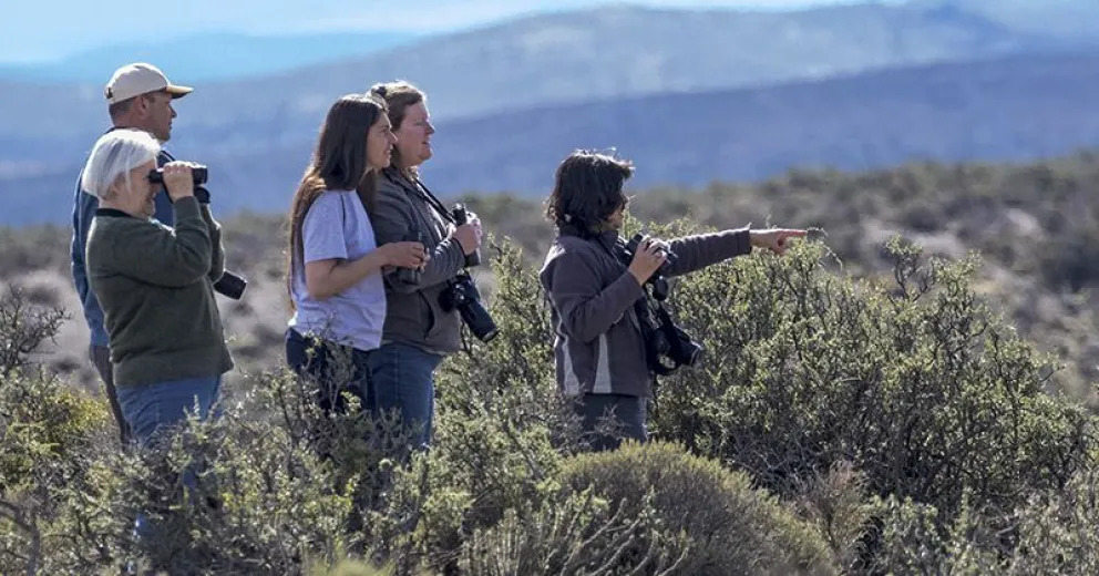 Safaris fotográficos en Esquel: una invitación a expandir los sentidos