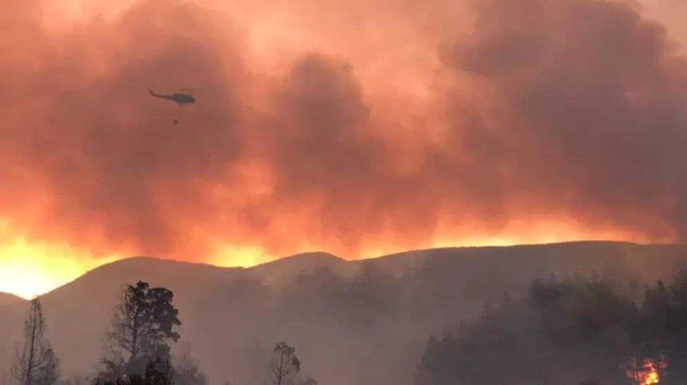 Logran contener un voraz incendio  forestal en cercanías de El Bolsón
