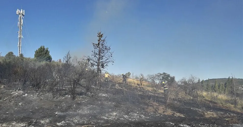 Incendio forestal en el barrio Vuriloche IV