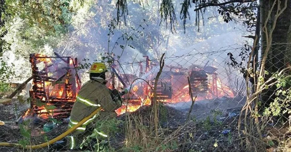 Incendio arrasó una casilla de madera y afectó el bosque cercano   