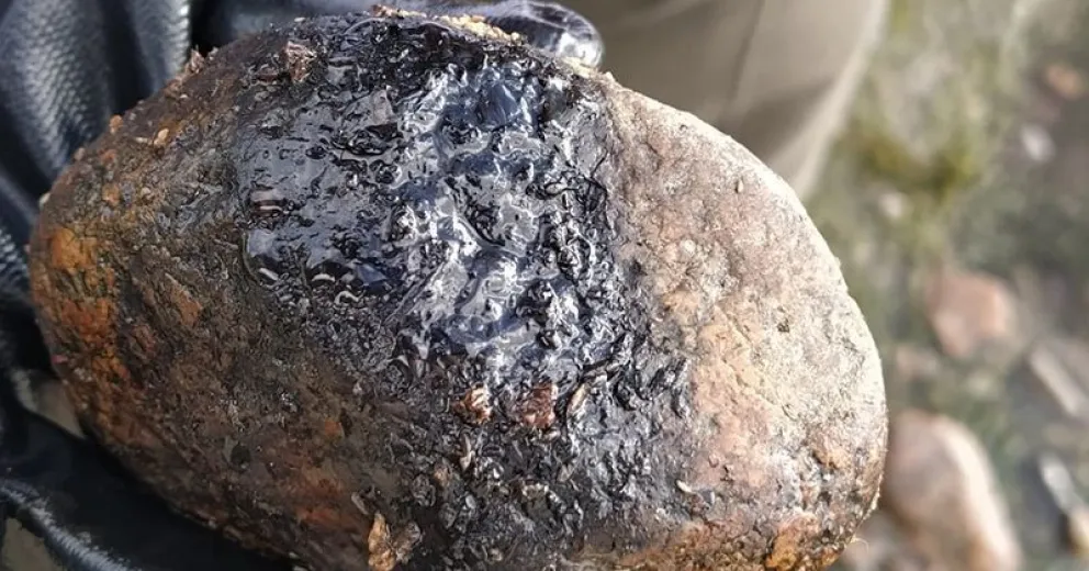 Presencia de hidrocarburo sobre un sector de la costa en el lago Nahuel Huapi