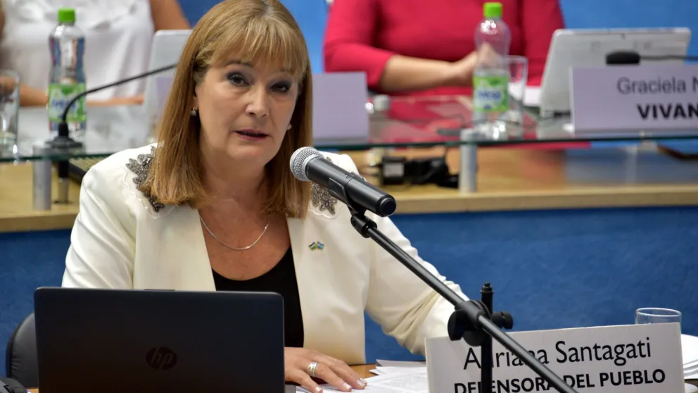 La defensora del Pueblo brindó su informe in voce