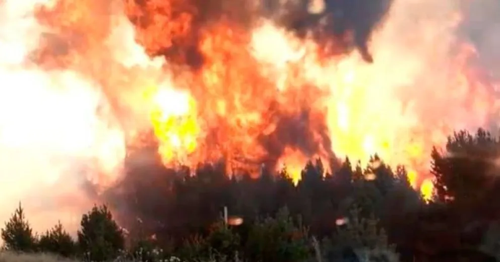 Fuego sin control en el este: el viento y la sequía incidieron para que las llamas avancen vorazmente