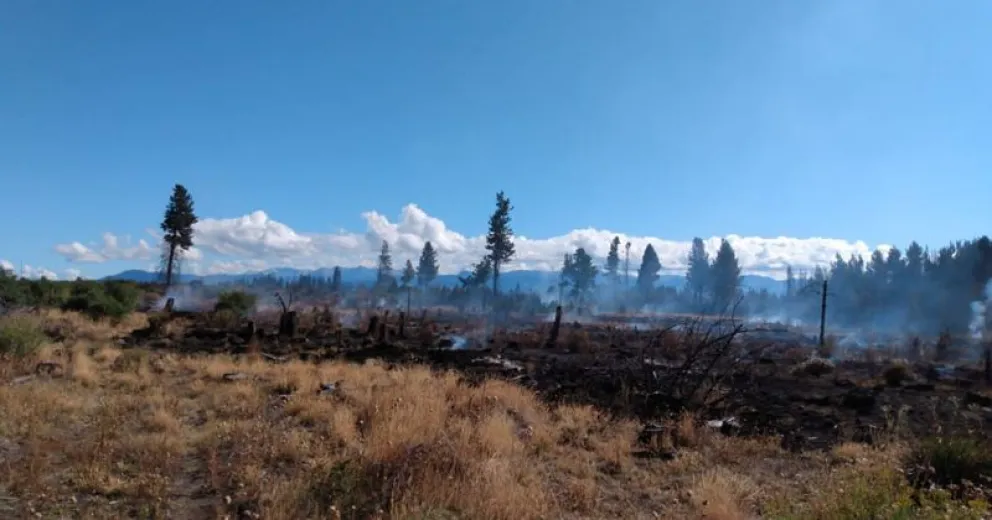 Está contenido el incendio en el este y se investigan las causas