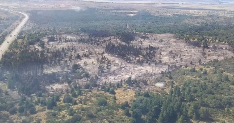 El fuego en el este se reavivó aunque los combatientes lograron controlarlo