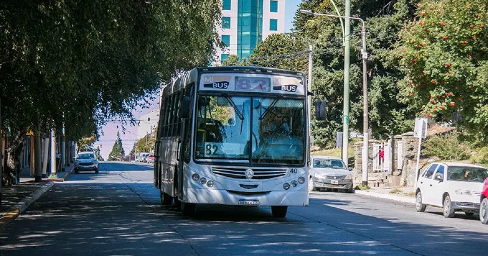 ¿Quiénes viajan gratis en el transporte urbano?