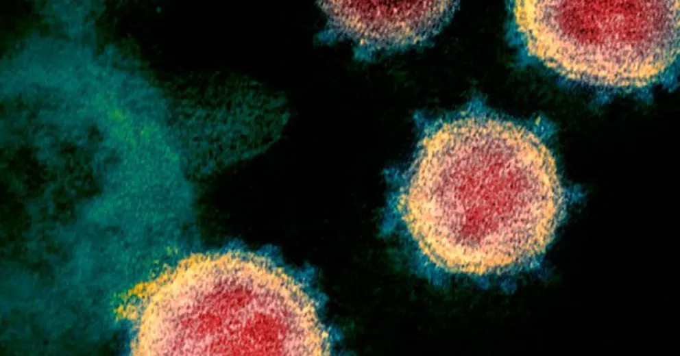 "Hoy casi todos los pacientes llegan con dificultades respiratorias o neumonía"