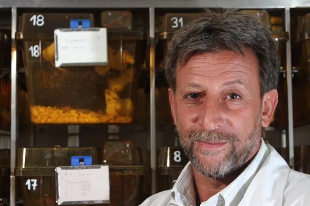 COVID-19: la caza de nuevos medicamentos