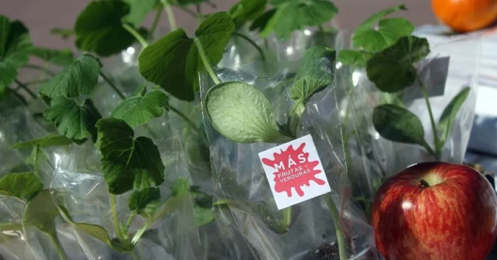 Coronavirus: cómo planificar la alimentación durante el aislamiento