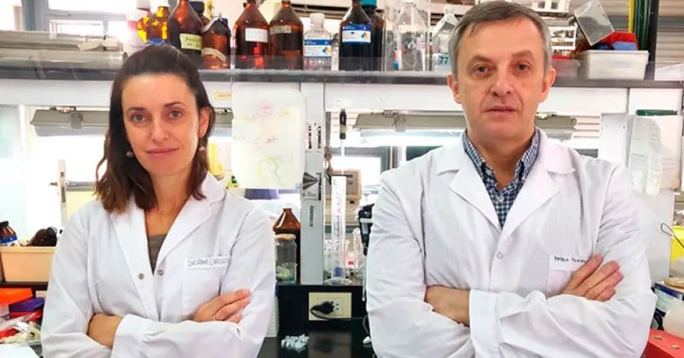 Con un test rápido en desarrollo, científicos argentinos logran detectar coronavirus en muestras de pacientes positivos