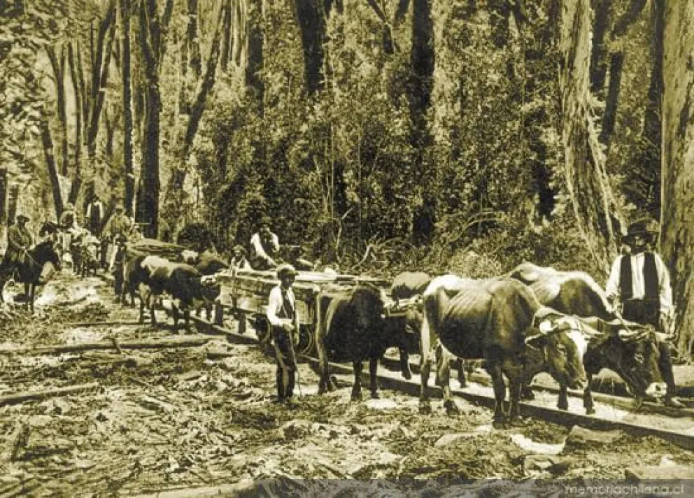 Orígenes del sentimiento anti-chileno en Bariloche