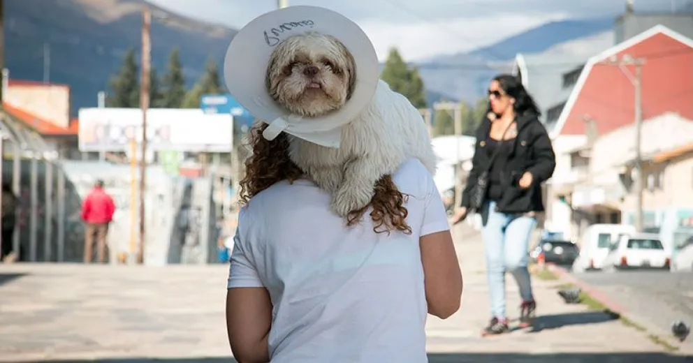 La importancia de las mascotas en época de aislamiento