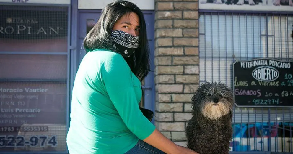 Todo lo que tenés que saber antes de salir de vacaciones con tu mascota