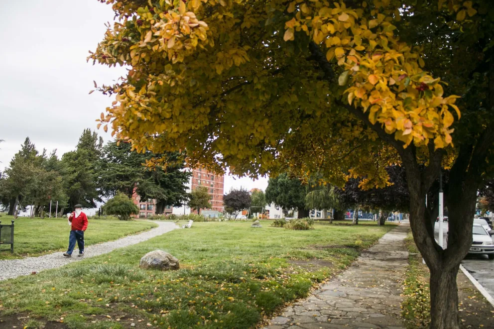 La salud mental en el marco de la cuarentena obligatoria que produce el coronavirus