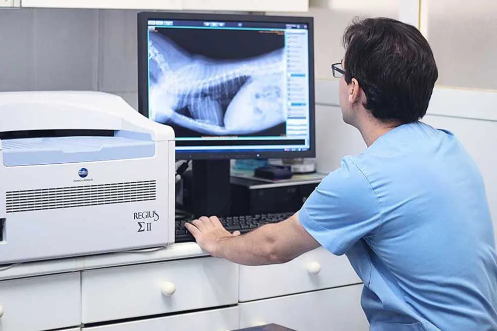 La telemedicina permite acceder en forma remota a profesionales de la salud