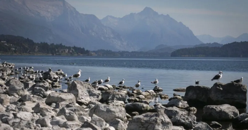 Alejandro Beletzky: “Abramos los ojos y tengamos una actitud distinta para con la vida misma”