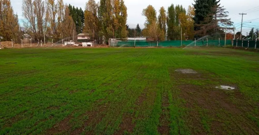 Ya asoma césped en la cancha del CAB 16