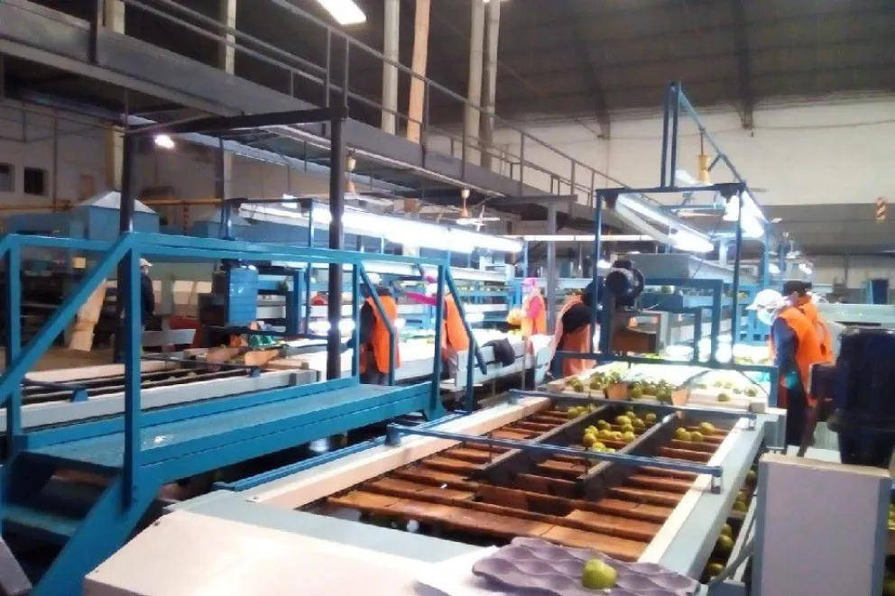 COVID-19: se realizaron inspecciones laborales en diversos rubros