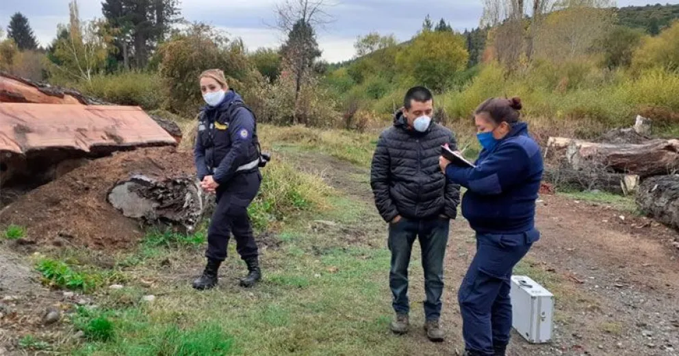 Cámaras de seguridad lograron disuadir robo en el Vivero Municipal