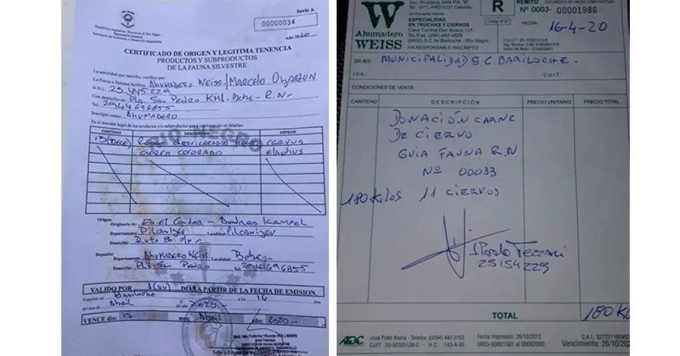 Municipio y Provincia articularon donaciones de carne de ciervo para ayuda social