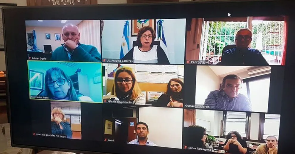 Junto a expertos nacionales, Río Negro analizó las políticas sanitarias por coronavirus