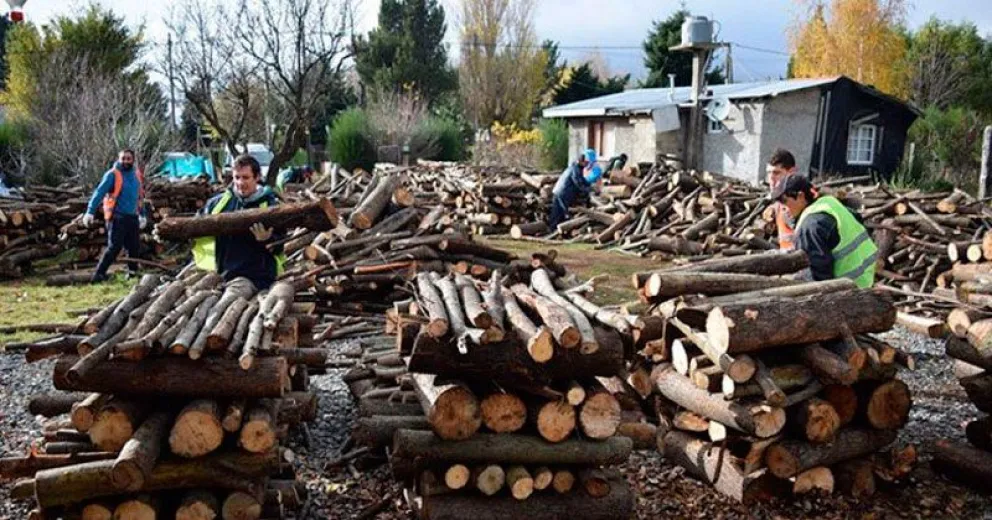 Comienza la entrega de leña del Plan Calor del Municipio