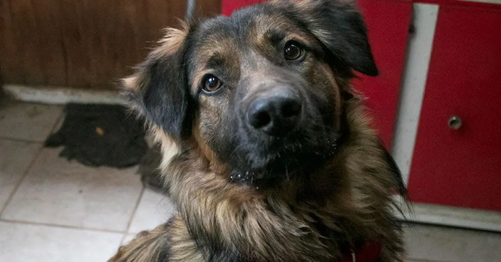 Por casos positivos de coronavirus, Sanidad estará cerrada hasta nuevo aviso  