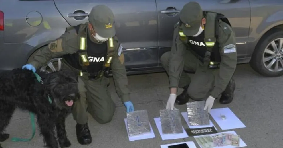 Decomisan 3,5 kilos de marihuana ocultos en encomiendas