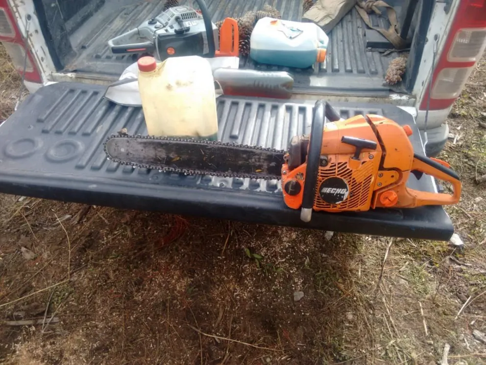 Seis personas infraccionadas por talar bosque nativo