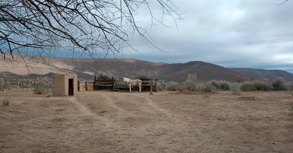 Campaña Solidaria de la UNCo para residencia escolar de Mencué y Bomberos Voluntarios de Comallo