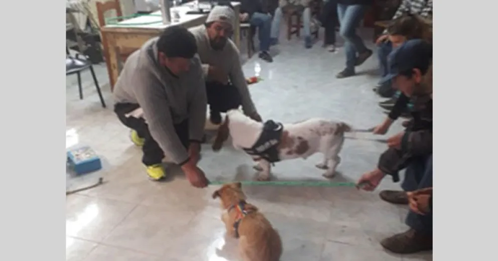 Charlas virtuales gratuitas del equipo Salta Violeta