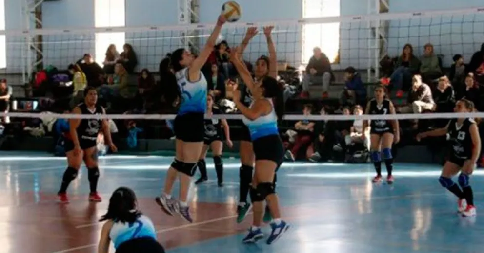 El vóley ya trabaja en la  formación de una asociación