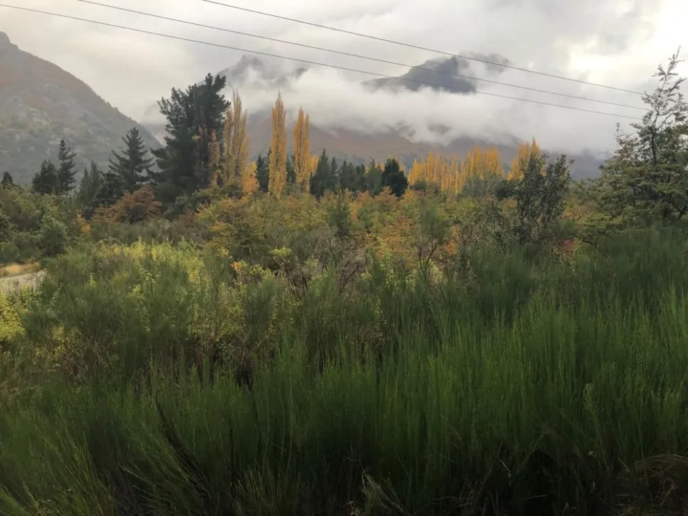 “Sentimos un total abandono de persona”