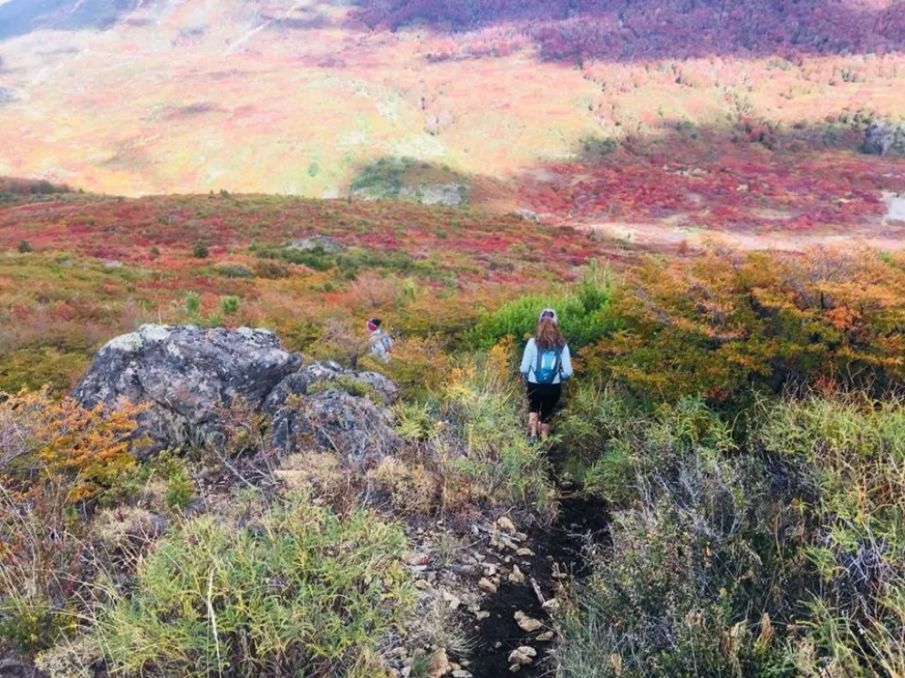 Con una encuesta, el Municipio recaba información sobre las actividades físicas al aire libre