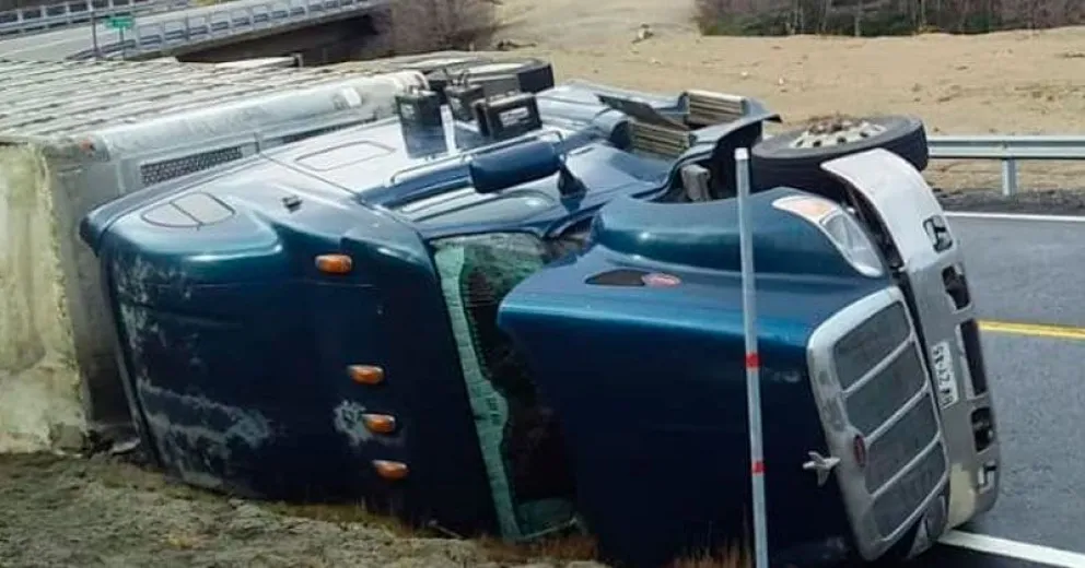 Volcó un camión chileno que transportaba ganado