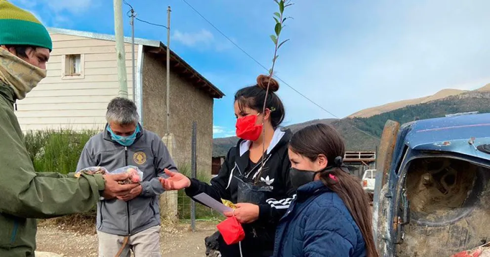 Desde isla Victoria llegaron plantines de tres especies a familias del Malvinas