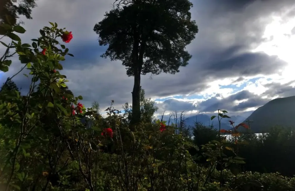 La Asociación Argentina de Fiscales también repudio el ataque en Villa Mascardi