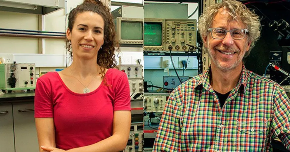 Comprueban que la experiencia acelera la maduración de neuronas importantes para la memoria y el aprendizaje