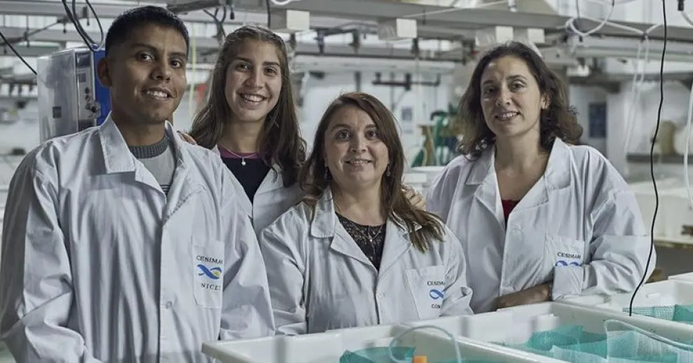 Científicos trabajan con erizos de mar para combatir el COVID-19