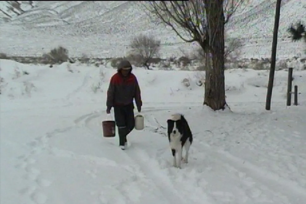 Las primeras nevadas en la Región Sur alimentan las esperanzas de los productores
