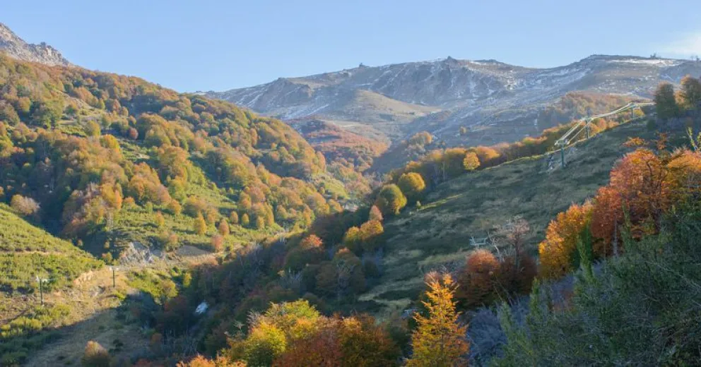 Alta Patagonia: de no abrir el centro de esquí, los pases Residentes se podrán utilizar en la temporada 2021