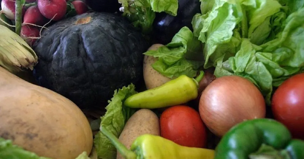 Salud remarca la importancia de retomar los hábitos alimenticios saludables