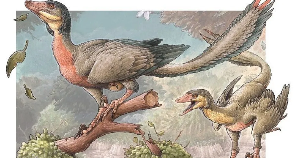 Conocé cómo era el dinosaurio con alas descubierto en Río Negro