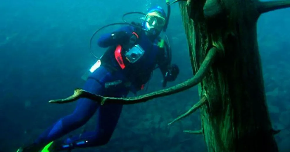 Escuelas de buceo elaboraron protocolo y en julio esperan la reapertura de la actividad