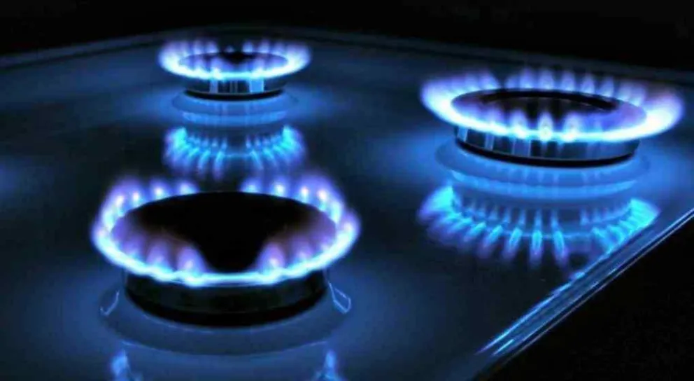 Piden al Gobierno Nacional restablecer subsidios al gas en la Patagonia   